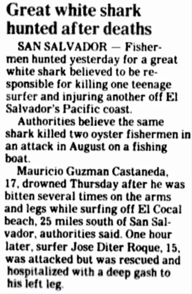 Are There Sharks In El Salvador?